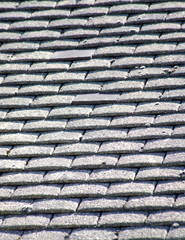 Roof Tiles 