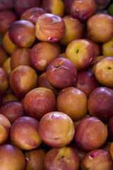 nectarines