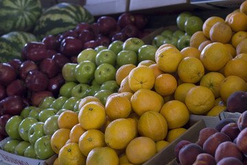 fruits
