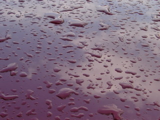 Rain waterdrops texture detailed background