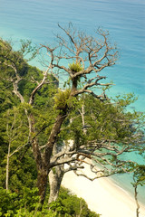 Unspoilt and undiscovered beach
