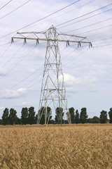 power pylon standing in a field of wheat