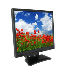 LCD screen with gorgeous summer landscape 