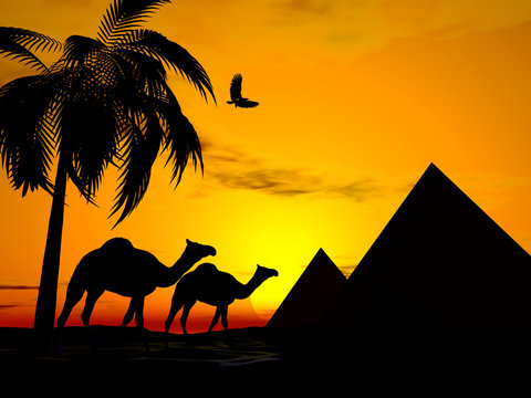 Illustration of Camels walking in desert sunset