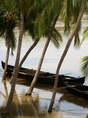 a river in kerala, south india, in the rainy season