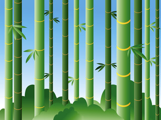 Bamboo forest