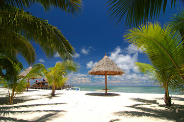 Tropical beach resort with bamboo hut and coconut trees