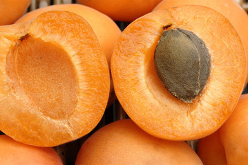 abricot ouvert