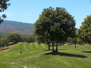 golf paesaggio
