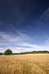 le bleu du ciel