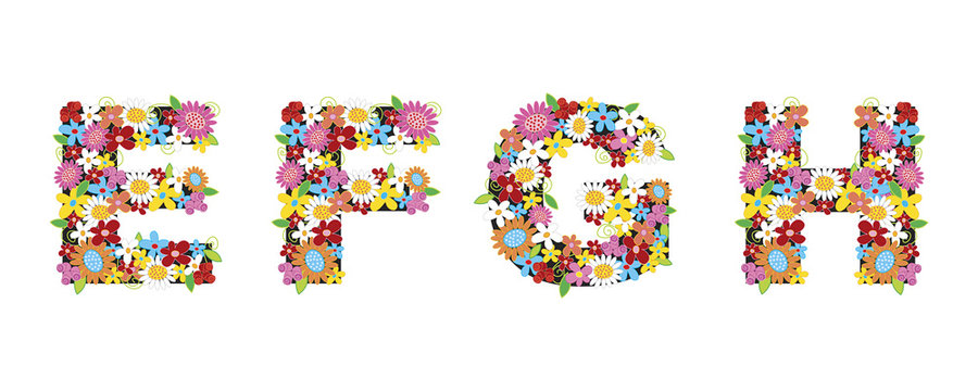 EFGH spring flowers - illustration / part of a full alphabet set