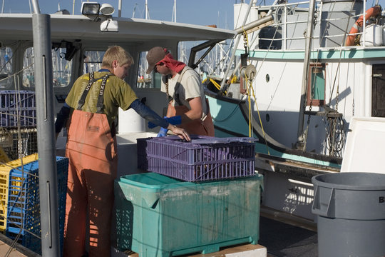 Fishermen unloading their catch