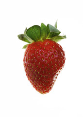 Single strawberry isolated over white background
