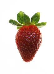 Single strawberry isolated over white background