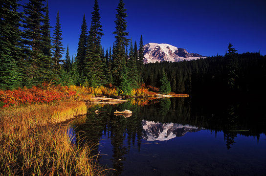 Mt. Rainier Fall Morning