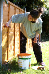 Painting the fence