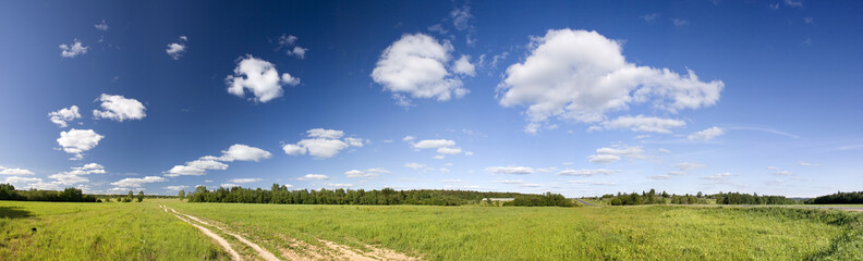 Fototapeta na wymiar Panoramic photo of spring landscape with blue sky