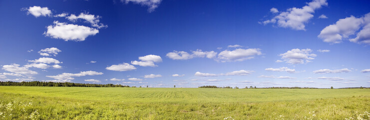 Fototapeta premium Panoramic photo of spring landscape with blue sky