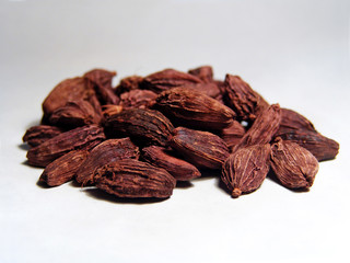 Indian spice, cardamom. Isolated on white. From South India.