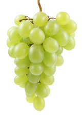 bunch of fresh green grapes isolated on white