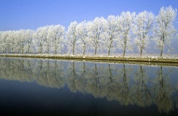 AUDOMAROIS CANAL DE L'AA EN HIVER