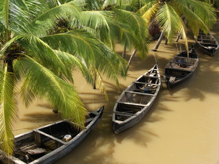 a river in kerala, south india, in the rainy season 