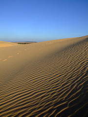 Desert