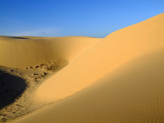 Fototapeta na wymiar Desert et dunes