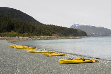 Several yellow kayaks on the beach near Haines Alaska