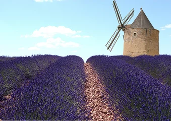 Fotobehang Molens Lavendel en molen