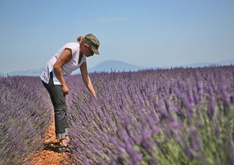 Foto op geborsteld aluminium Lavendel Cueillir des brins de lavande