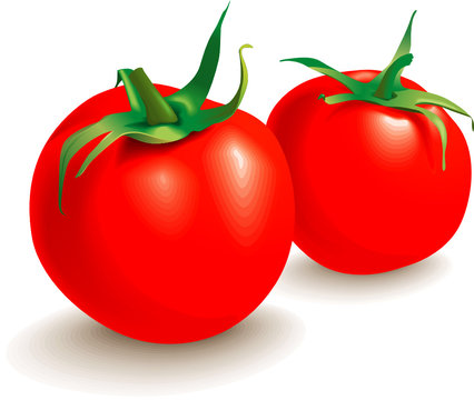 Two tomatoes food  vegetables. Isolated, vector illustration