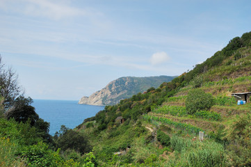 Fototapeta na wymiar Liguria italia panorama