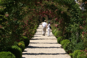 love on a  garden path