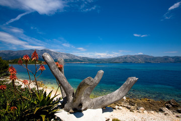 Beautiful seascape taken of the coast of the island Korcula