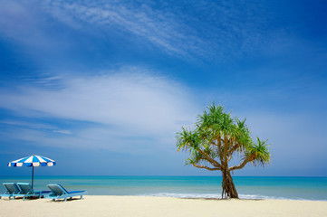 Obraz na płótnie Canvas mangrowe i krzesła