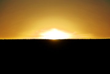 colourful golden sunset in the field