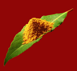 curry on leaf