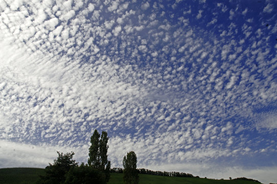 Sch&auml;fchenwolken,