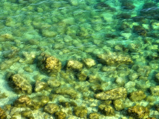 sea coast. Crimea.