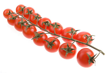 Cherry tomato isolated