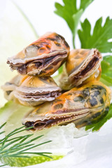 Seafood-mussels