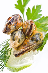 Seafood-mussels