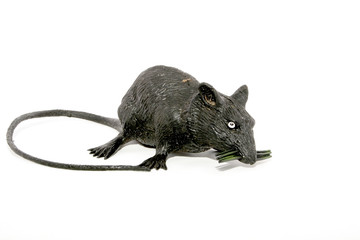 Morgan_halloween5_070307