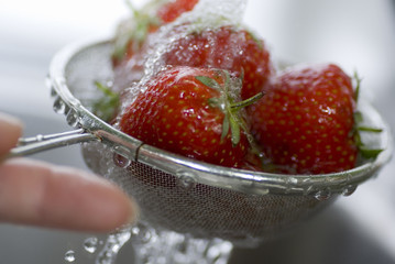 Erdbeeren im Sieb werden unter einem Wasserstrahl gewaschen