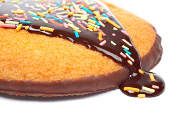 A cake with syrup, soft shadow on white background. Shallow DOF