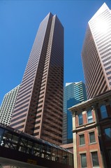 Fototapeta premium Skyscraper