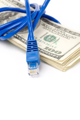 Network Connection Plug and dollars, concept of online business