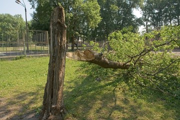 After a storm