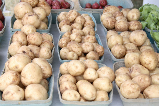 Small White Potatoes